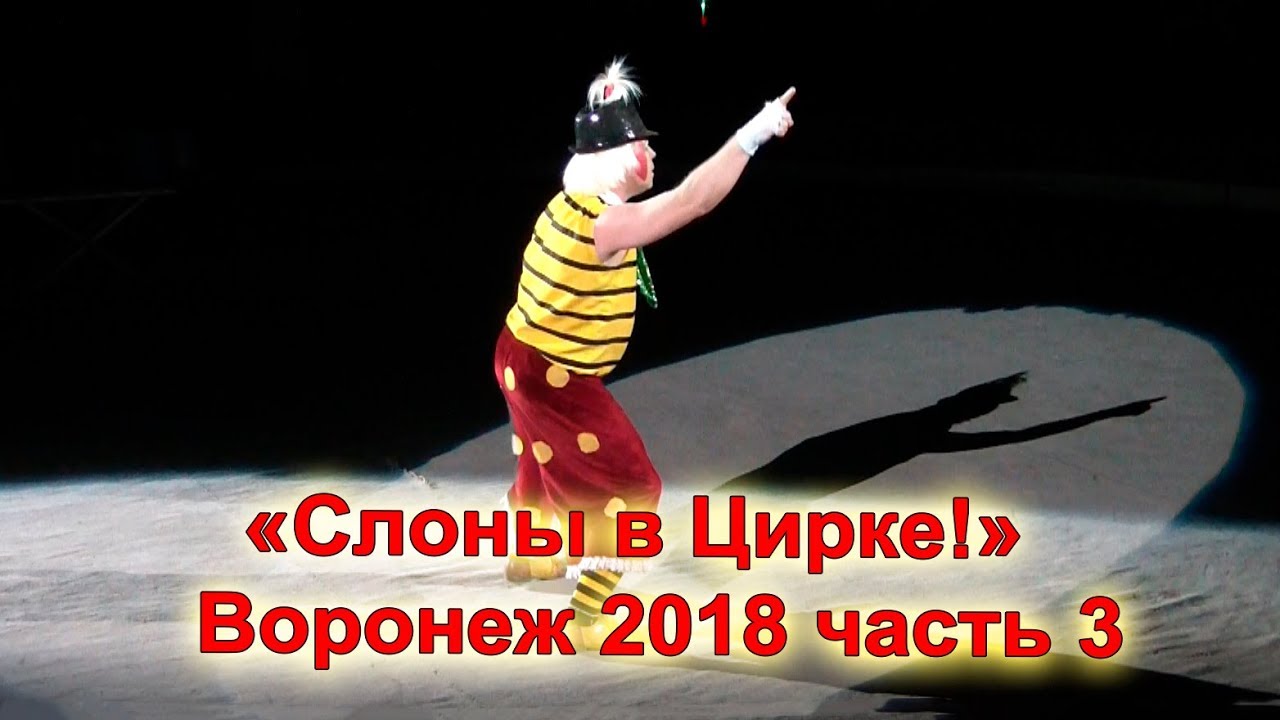 «Слоны в Цирке!» Воронеж 2018 часть 3