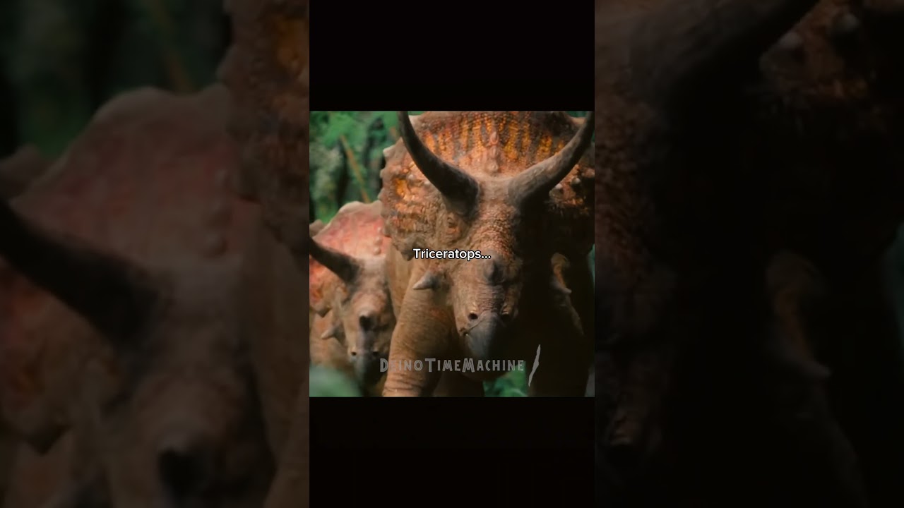 The T-Rex doesn&rsquo;t always win&hellip; #trex #ankylosaurus #triceratops #sauropod