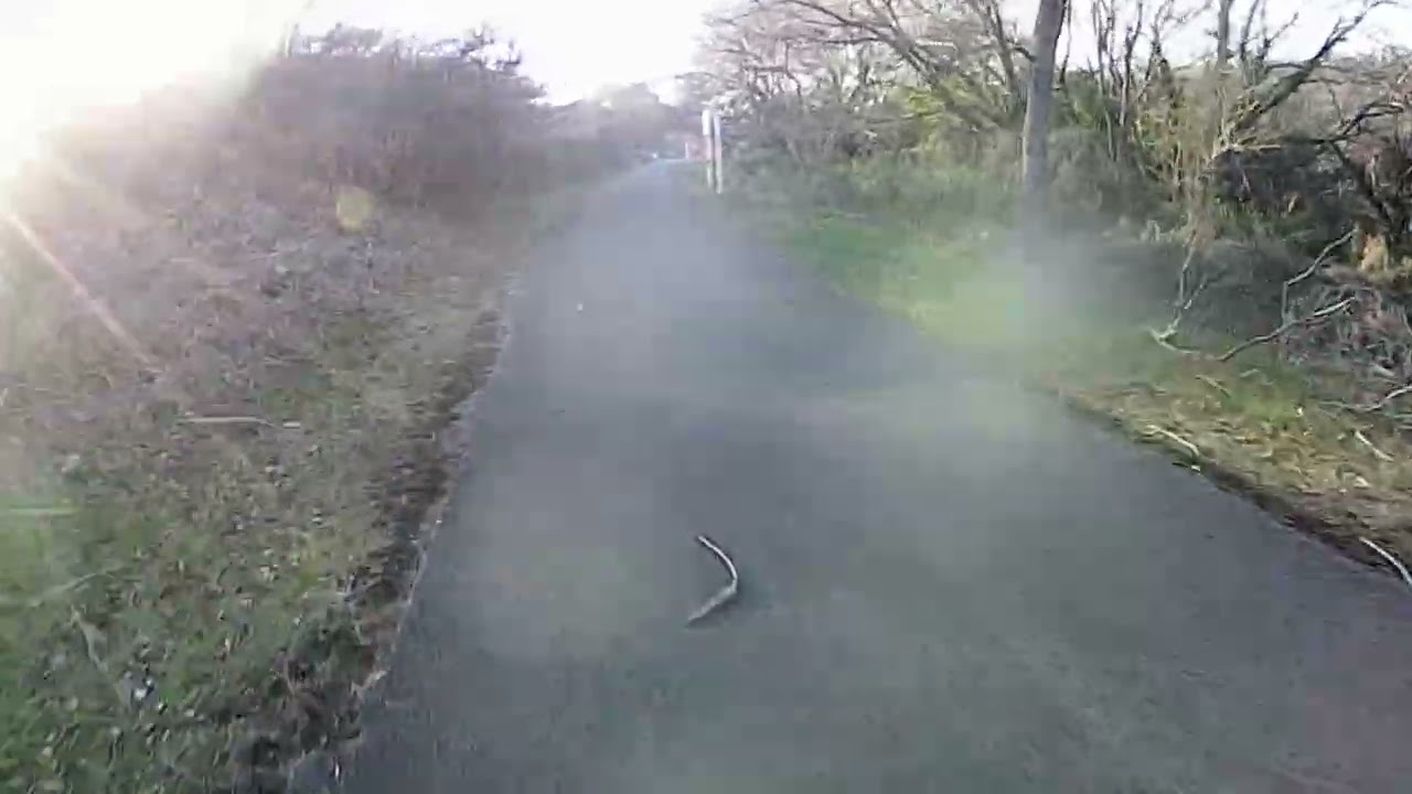 強風…20260110