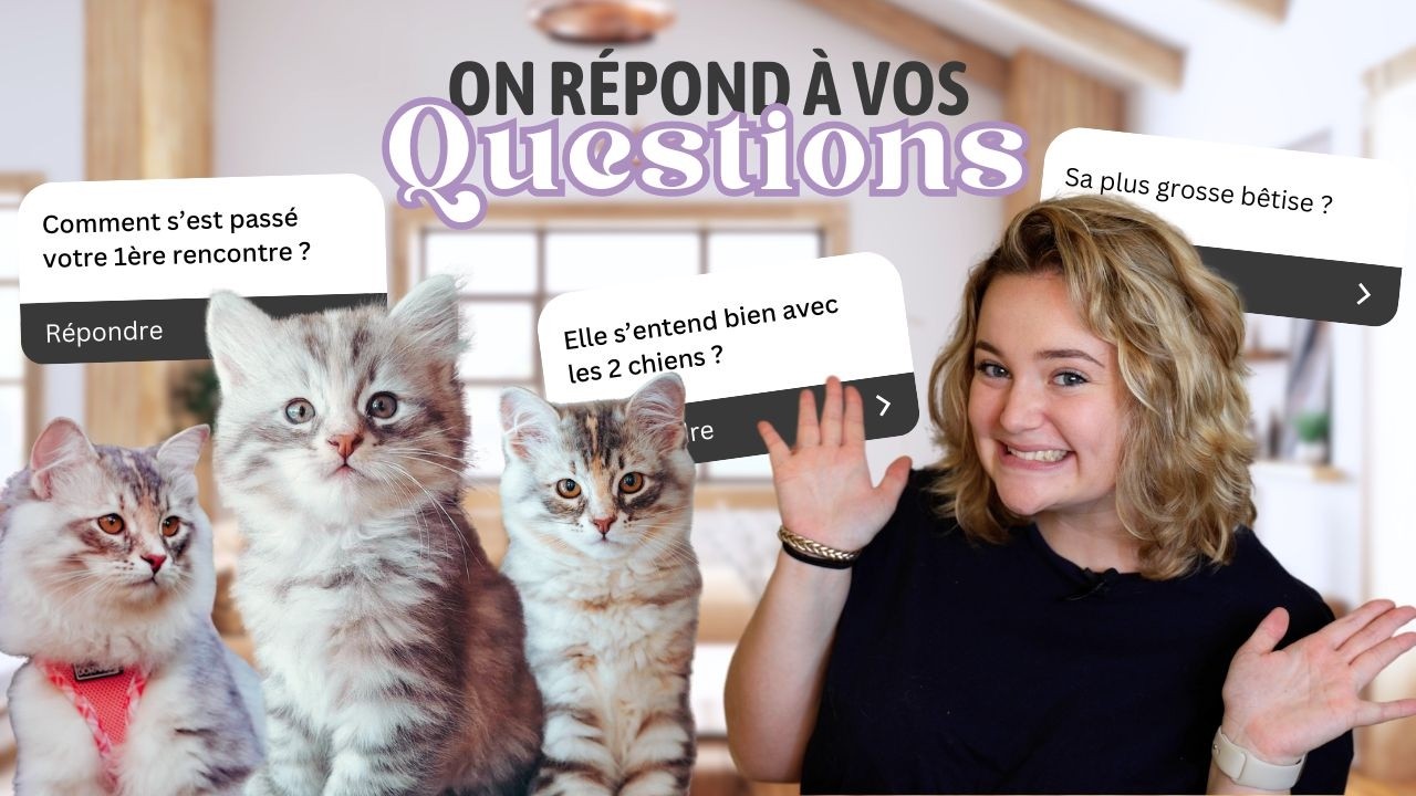 J'AI ADOPTÉ UN CHATON ! On vous dit tout 😻