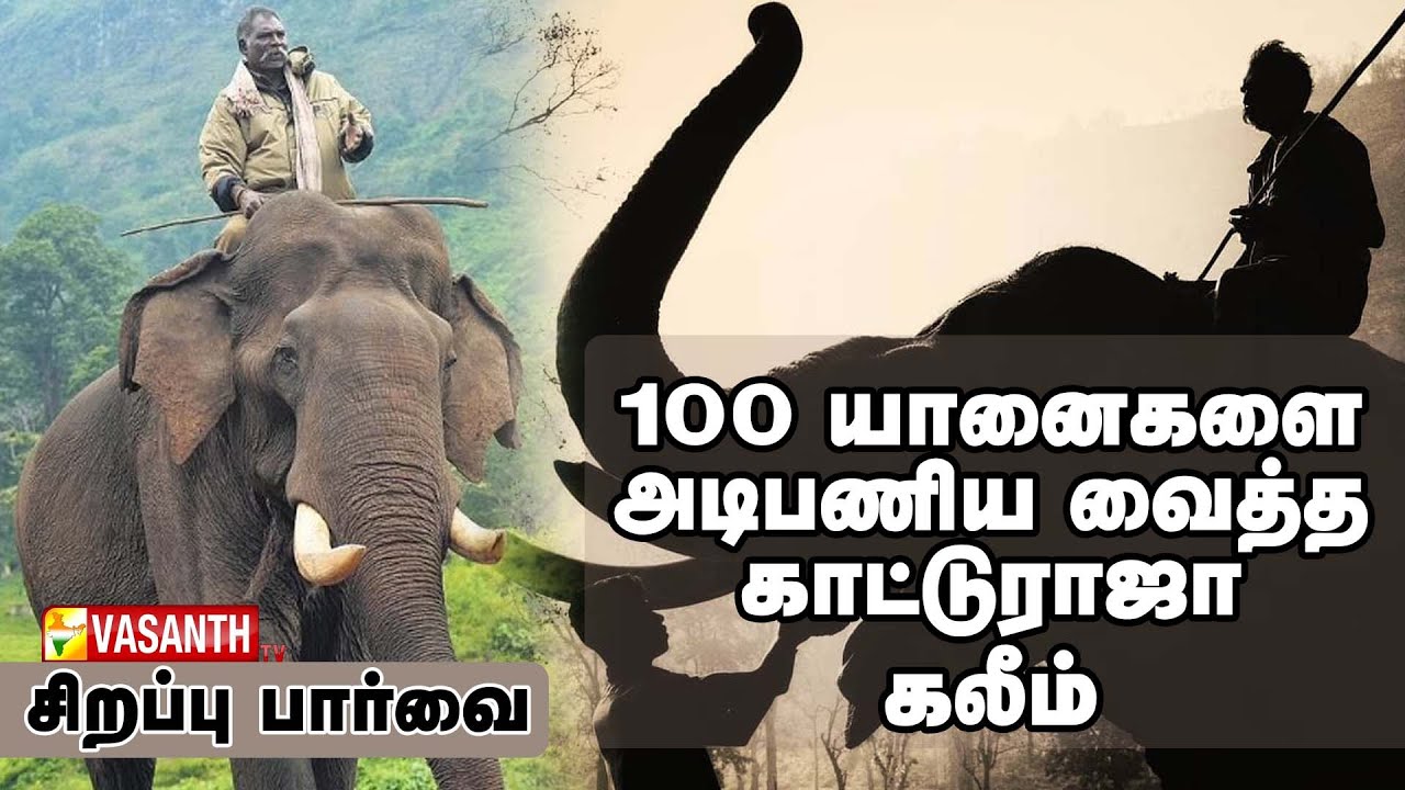 கும்கி யானைகளின் அரசன் கலீம்🐘👑 Part - 2 | The Sulthan Of Kumki Kaleem | Vasanth TV