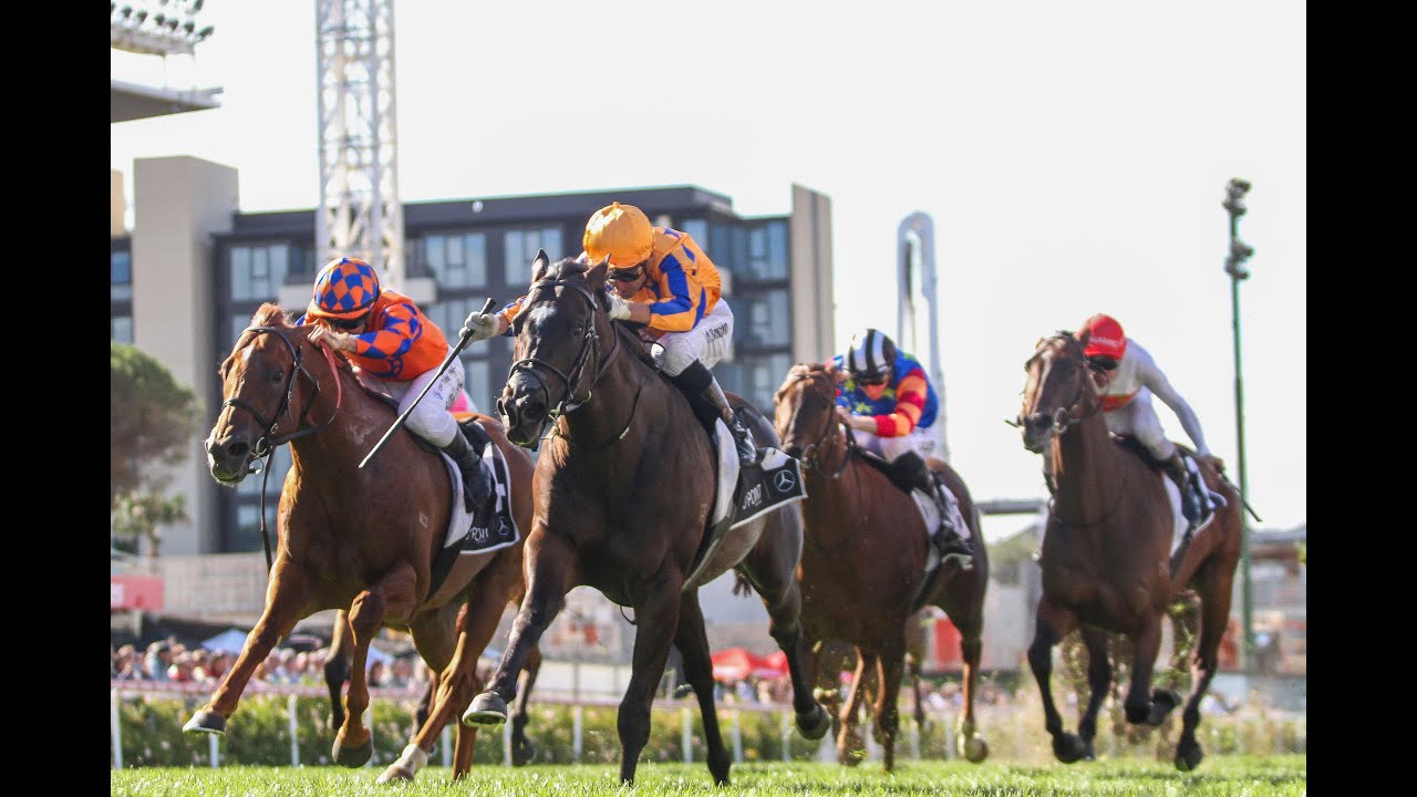 Lot 587 - Imperatriz - Magic Millions National Broodmare Sale