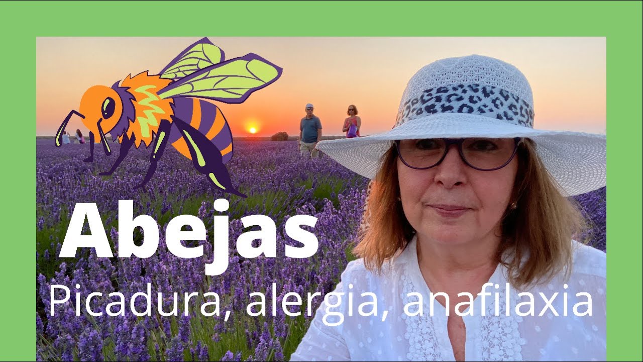 ABEJAS: picadura, alergia y anafilaxia