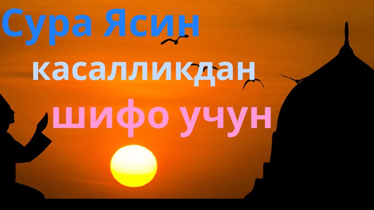 Сура Ясин касалликдан шифо учун | Сокин Қироат
