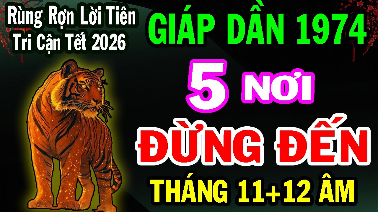 Giáp Dần 1974 – 2 Tháng Cuối Năm 2025: 5 Nơi Tuyệt Đối Không Nên Đặt Chân Đến Để Tránh Phiền Phức!
