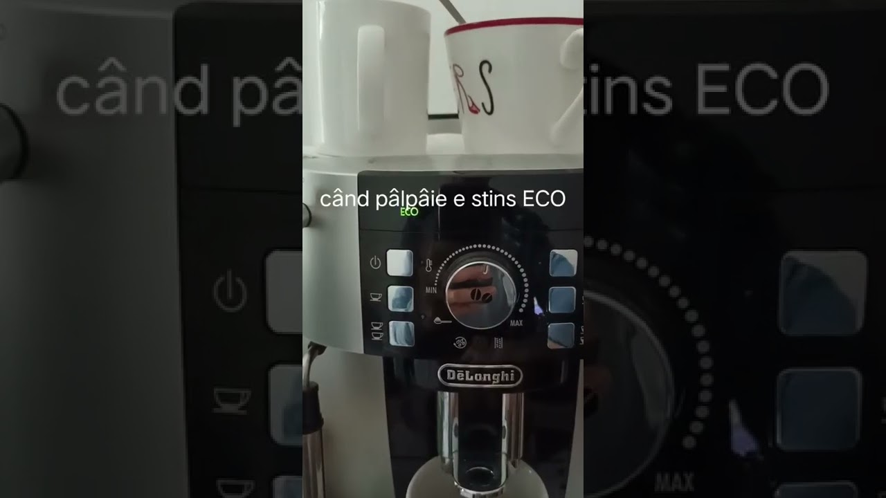 DeLonghi Magnifica S activare dezactivare ECO