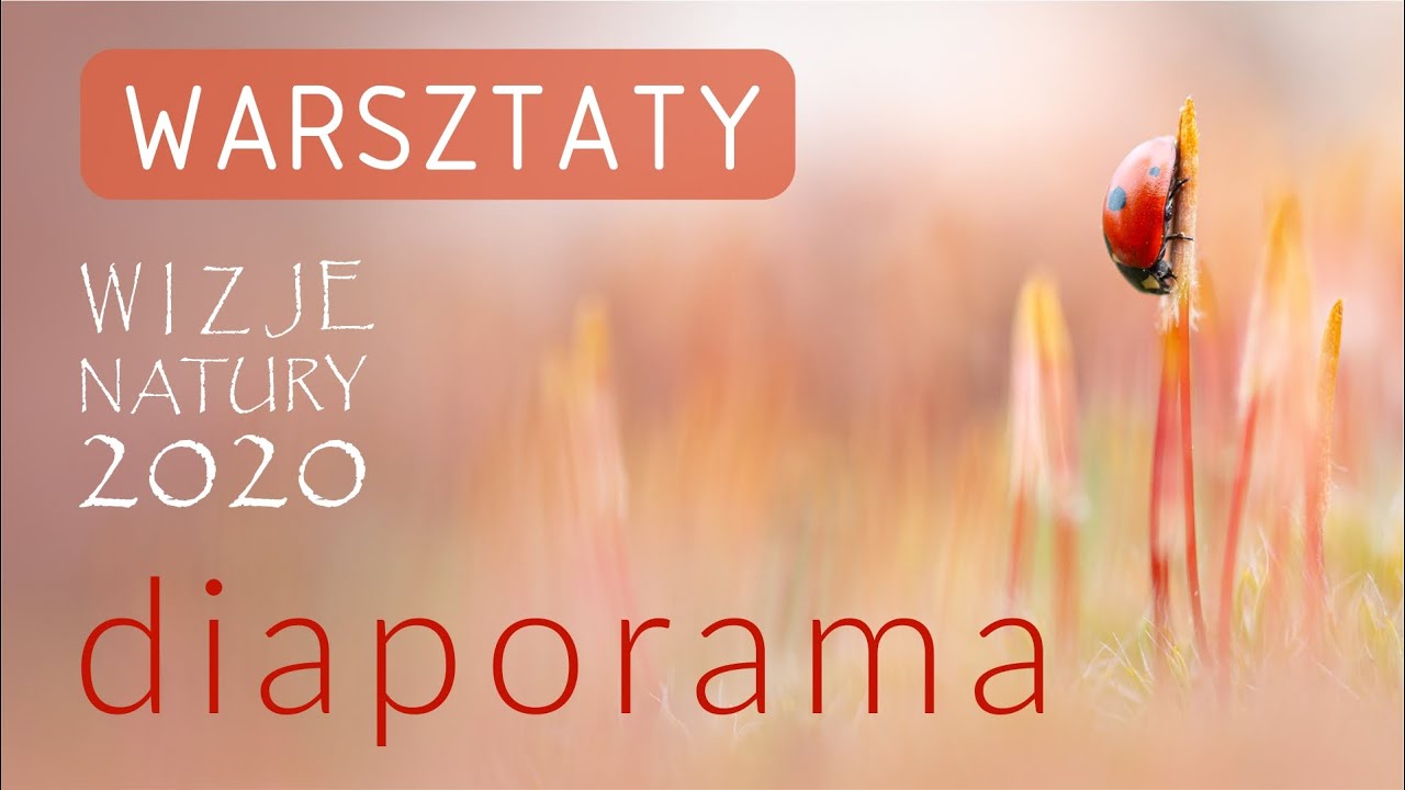 Warsztaty // Diaporama, jak przygotować ciekawy pokaz audiowizualny? Wizje Natury 2020