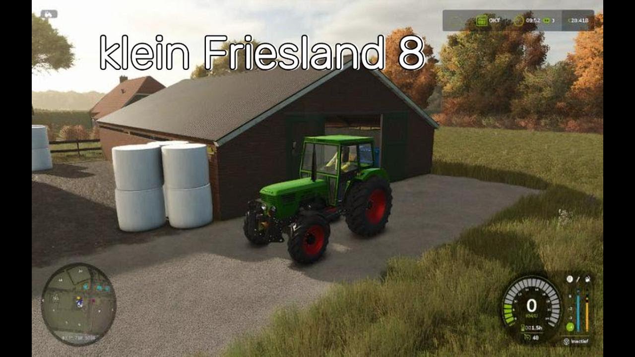 klein Friesland 9 schapen kopen