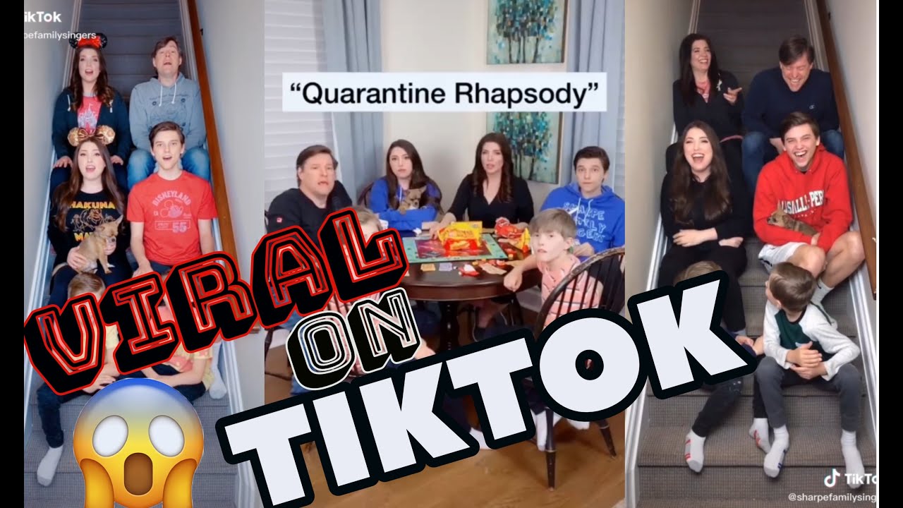 FAMILY TIKTOK VIRAL SINGING COMPILATION / EXTRAORDINARY BLENDING !!!!! / Quarantine Feels