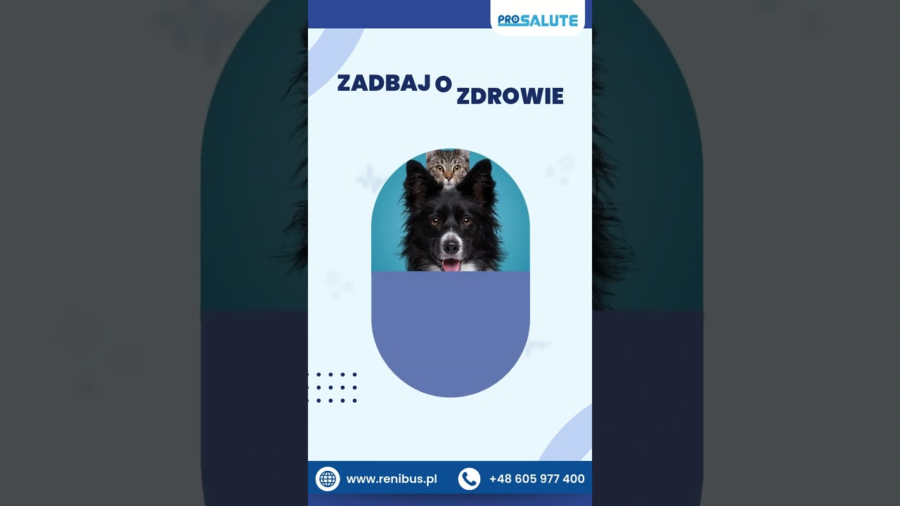 Tw&oacute;j pupil zasługuje na zdrowe nerki &ndash; postaw na Renibus Active.