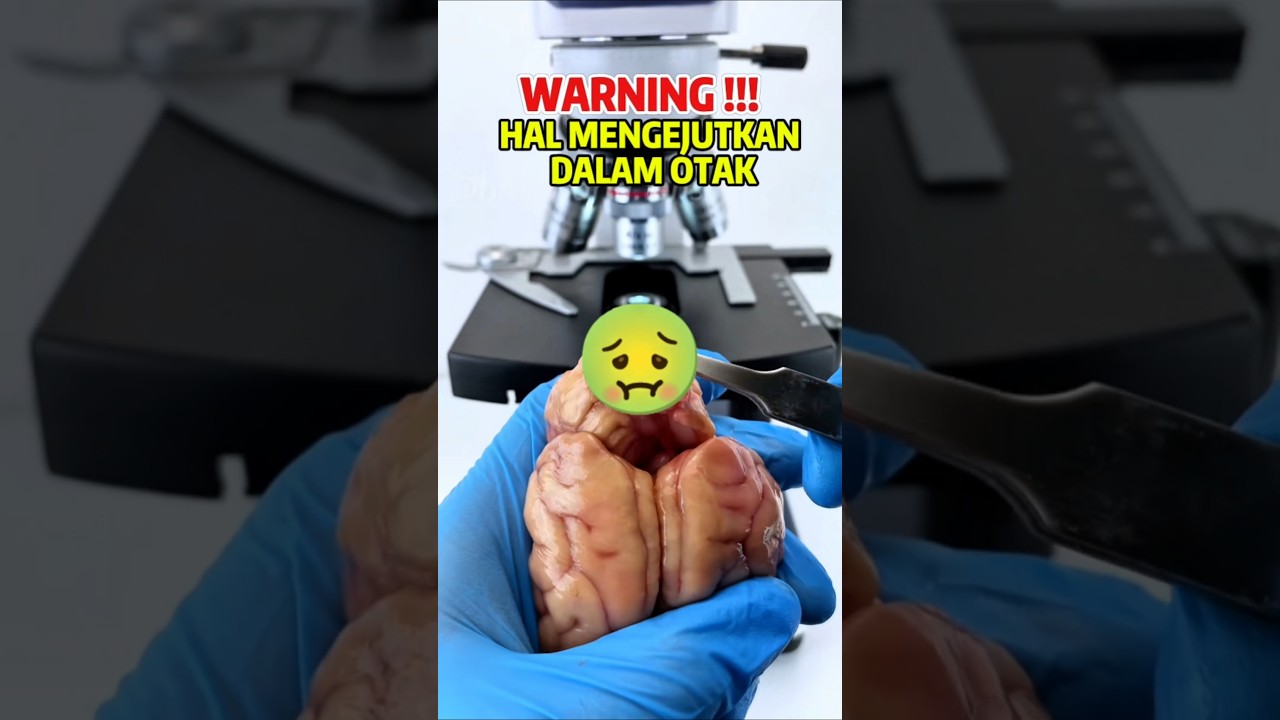BIKIN MERINDING, ISI MENGEJUTKAN DARI BAGIAN TUBUH HEWAN