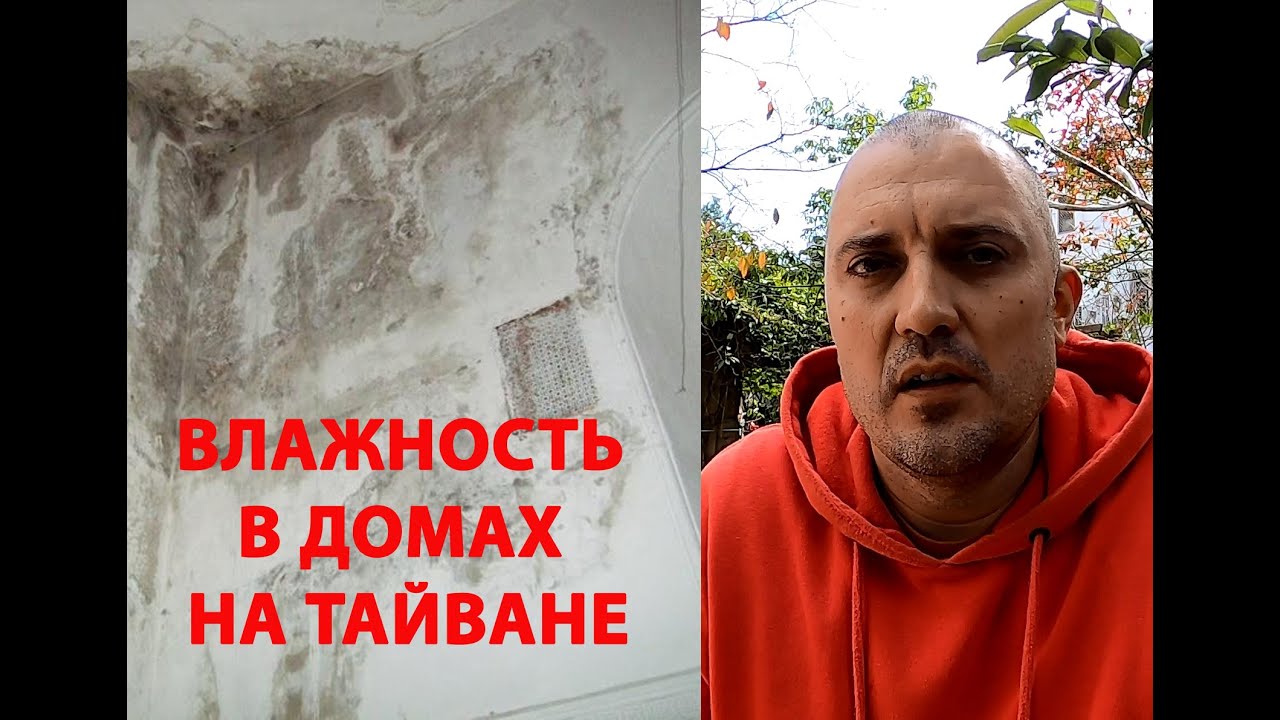 ВЛАЖНОСТЬ В ДОМАХ НА ТАЙВАНЕ