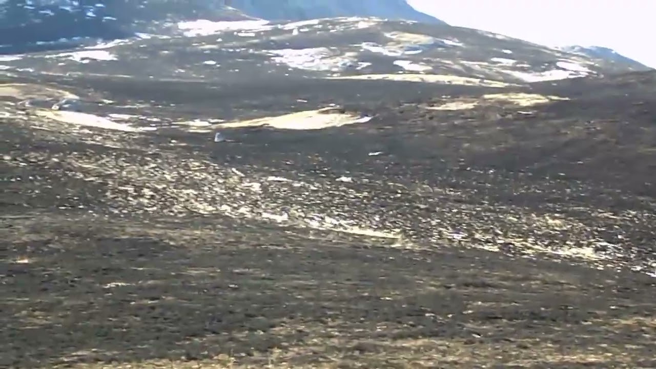 Visočica planina