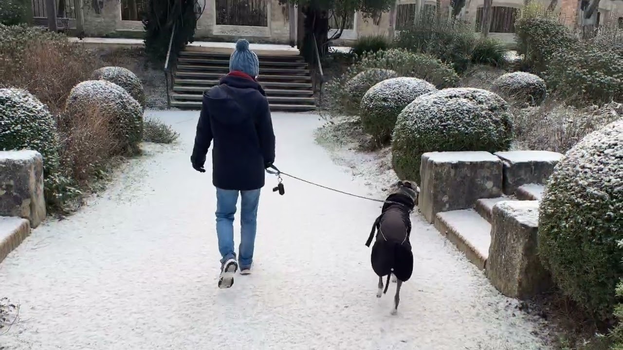 Oli et Momi au Parc de l’île Saint Germain