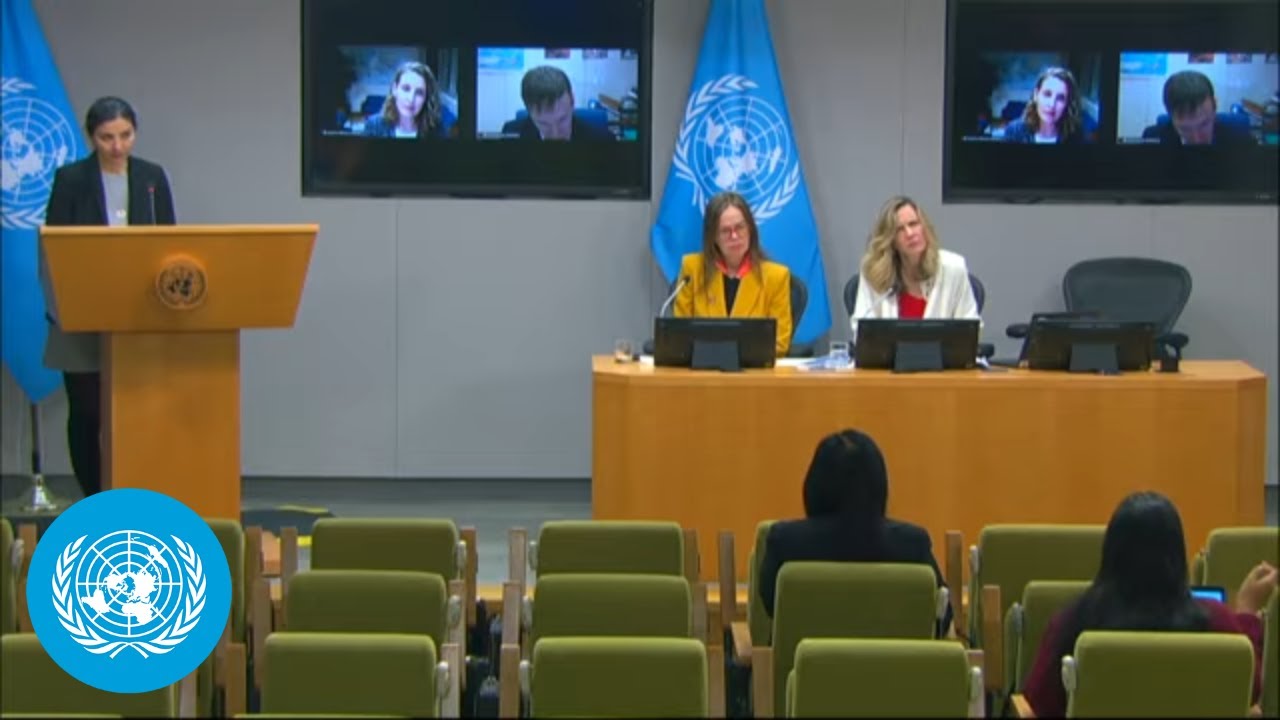 Elimination of Violence Against Women 2025 - Press Conference | United Nations