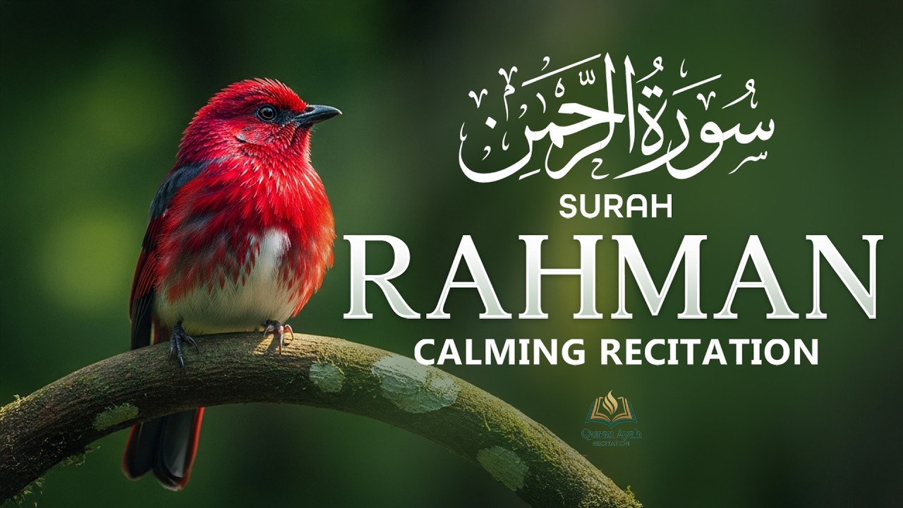 Surah Ar-Rahman سورة الرحمن | Relaxing Quran Recitation for Sleep & Healing | Quran Ayah Recitation