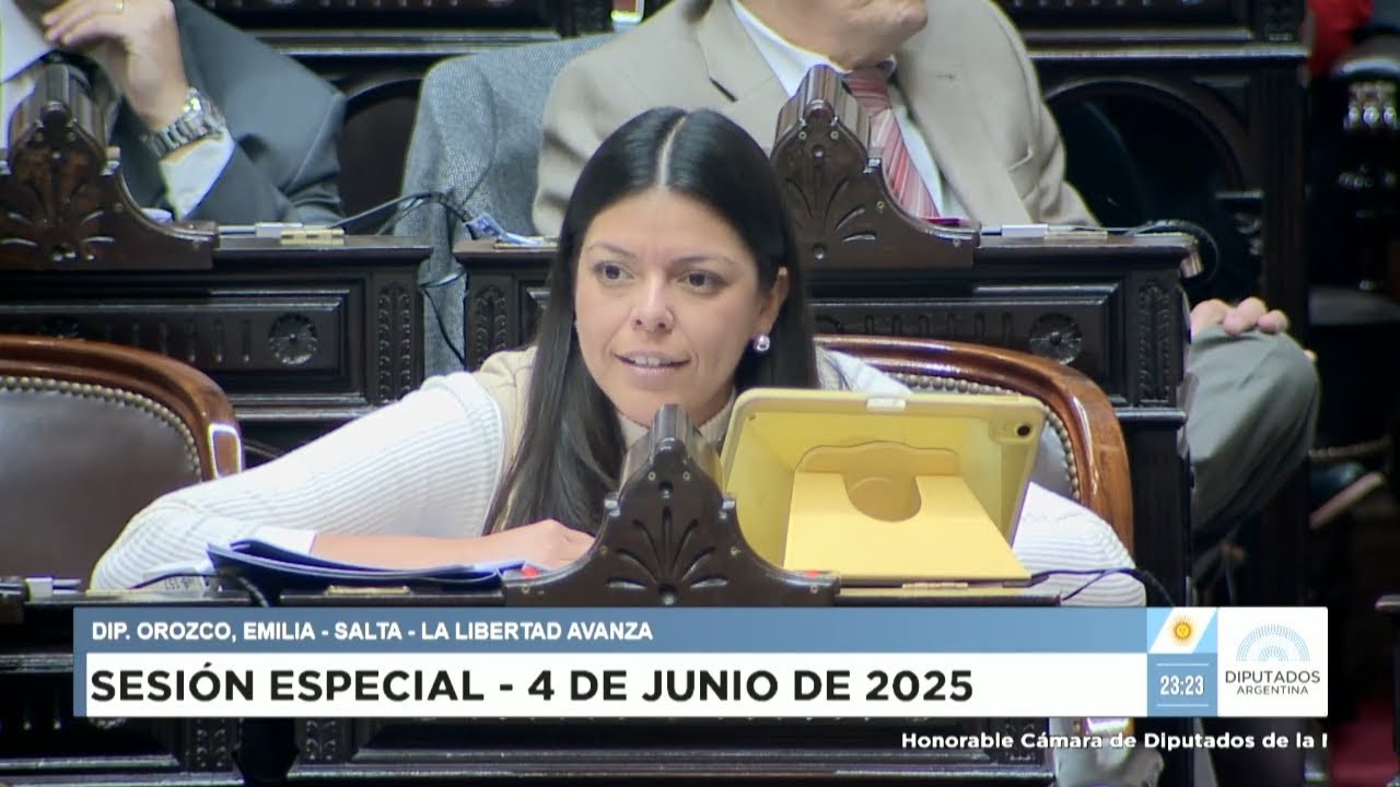 Diputada Orozco, Emilia - LLA - Sesión 04-06-2025 - PL