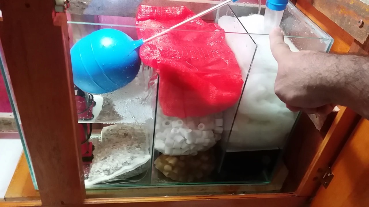 Sump caseiro com 65 reais aquario 200l