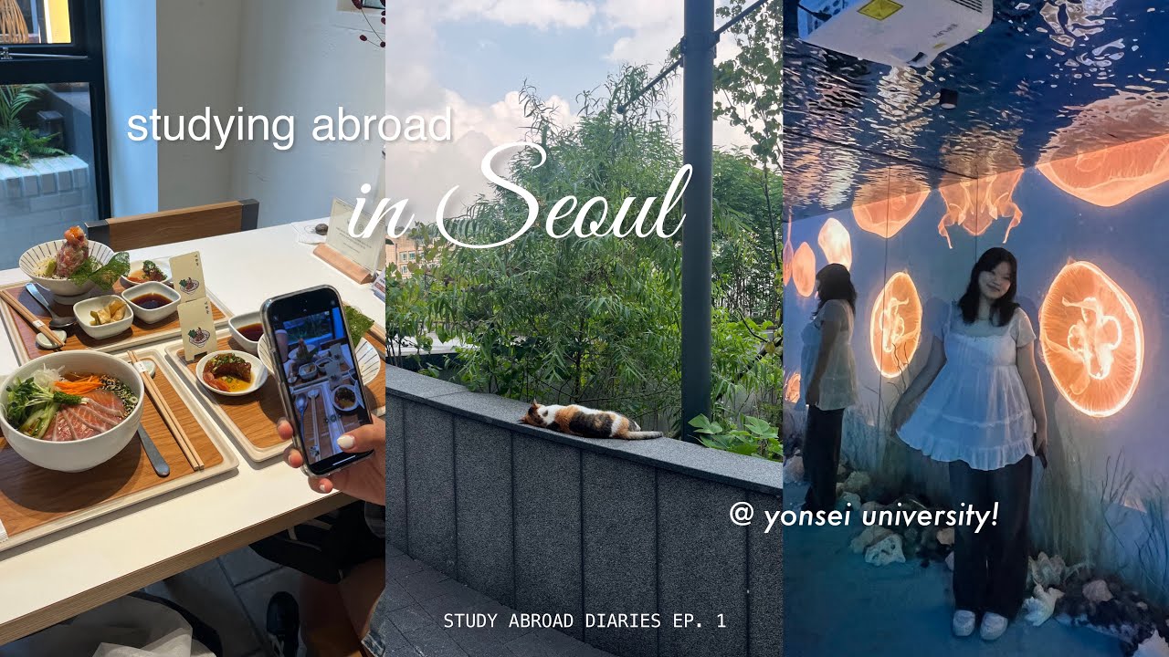 STUDY ABROAD DIARIES💌: flying the airplane alone, dorm move-in, exploring seoul