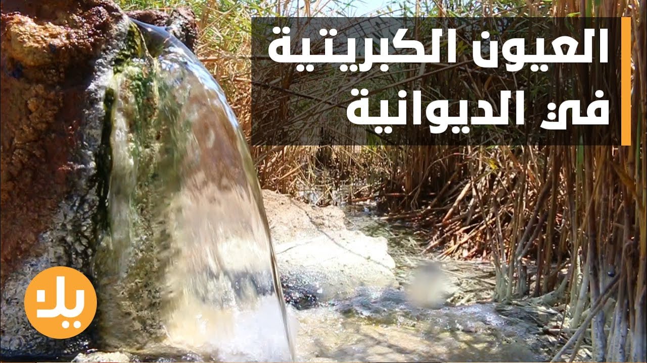 العيون الكبريتية في الديوانية