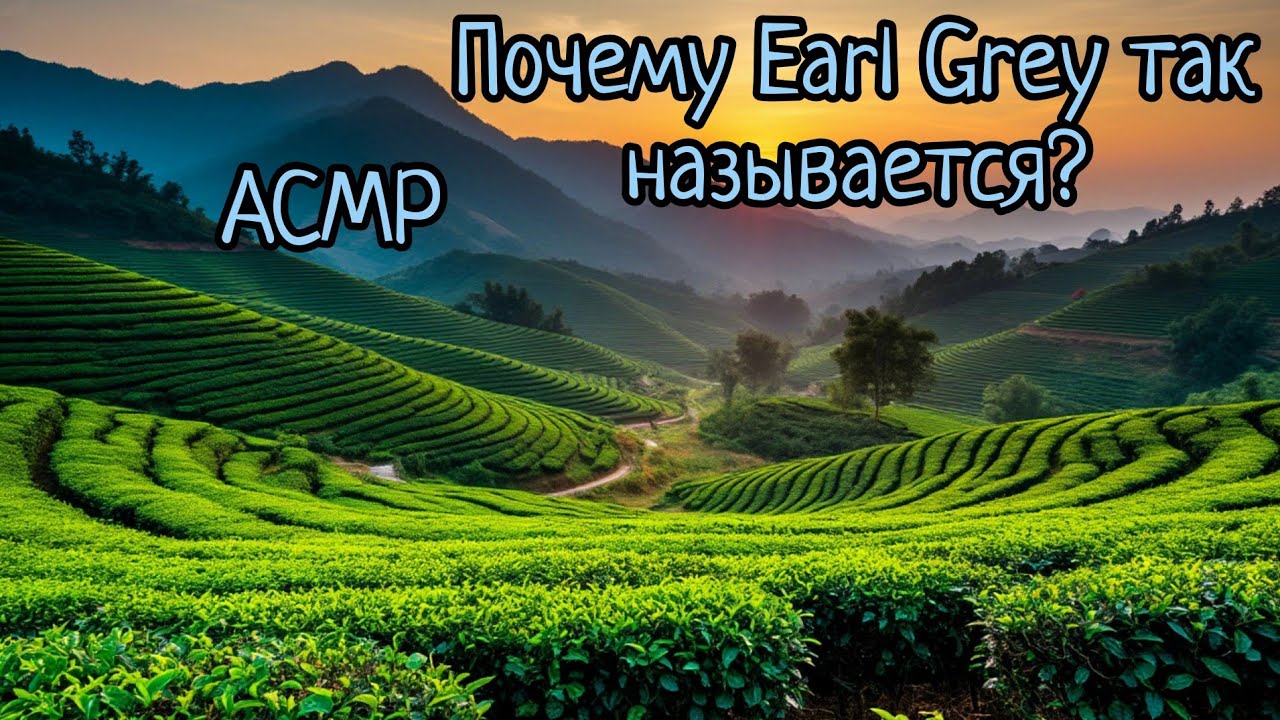 АСМР | Факты о чае | С чем смешивали чай раньше? | шепот