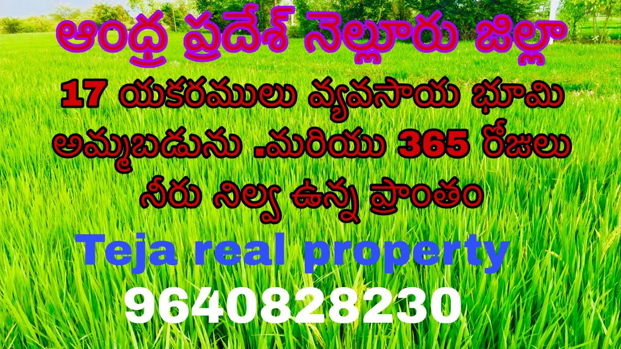 17 యకరములు వ్యవసాయ భూమి అమ్మబడును 9652606027