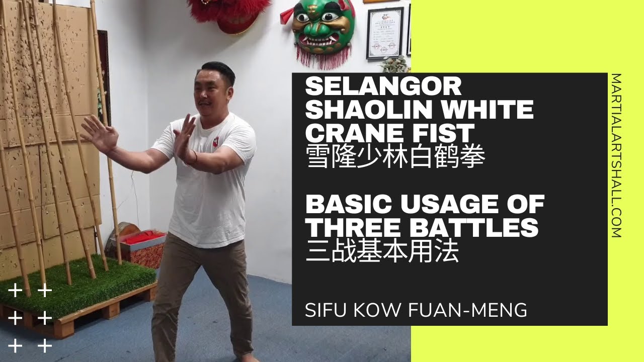 Selangor Shaolin White Crane Fist : Basic Usage of Three Battles (雪隆少林白鹤拳 : 三战基本用法)