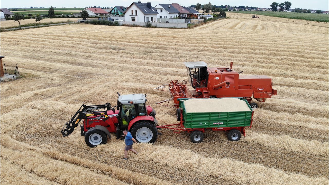 Żniwa 2019 | BIZON Z-056 i MF 5465 w akcji ;)