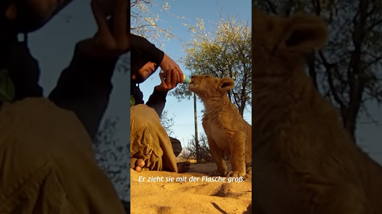 Ein deutscher Wildh&uuml;ter und seine L&ouml;win