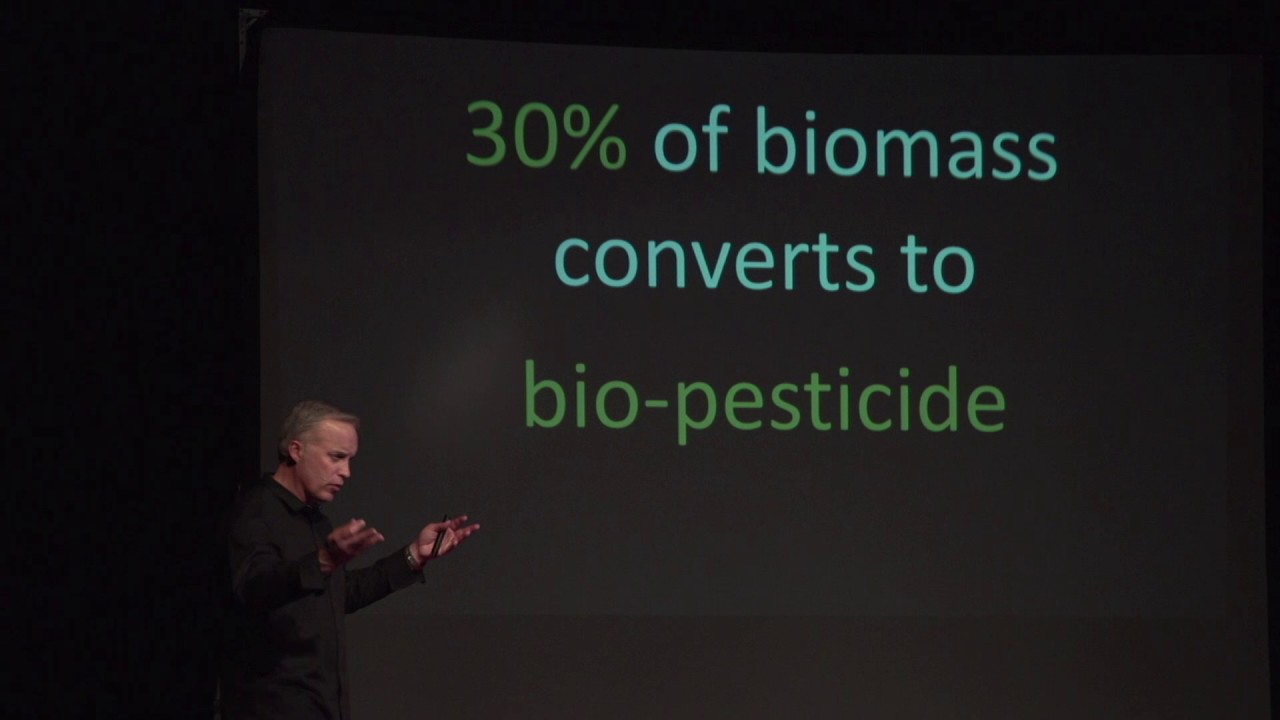 A Hot Approach: Making the Atmosphere a Carbon Source for Industries | Mike Woelk | TEDxCPP