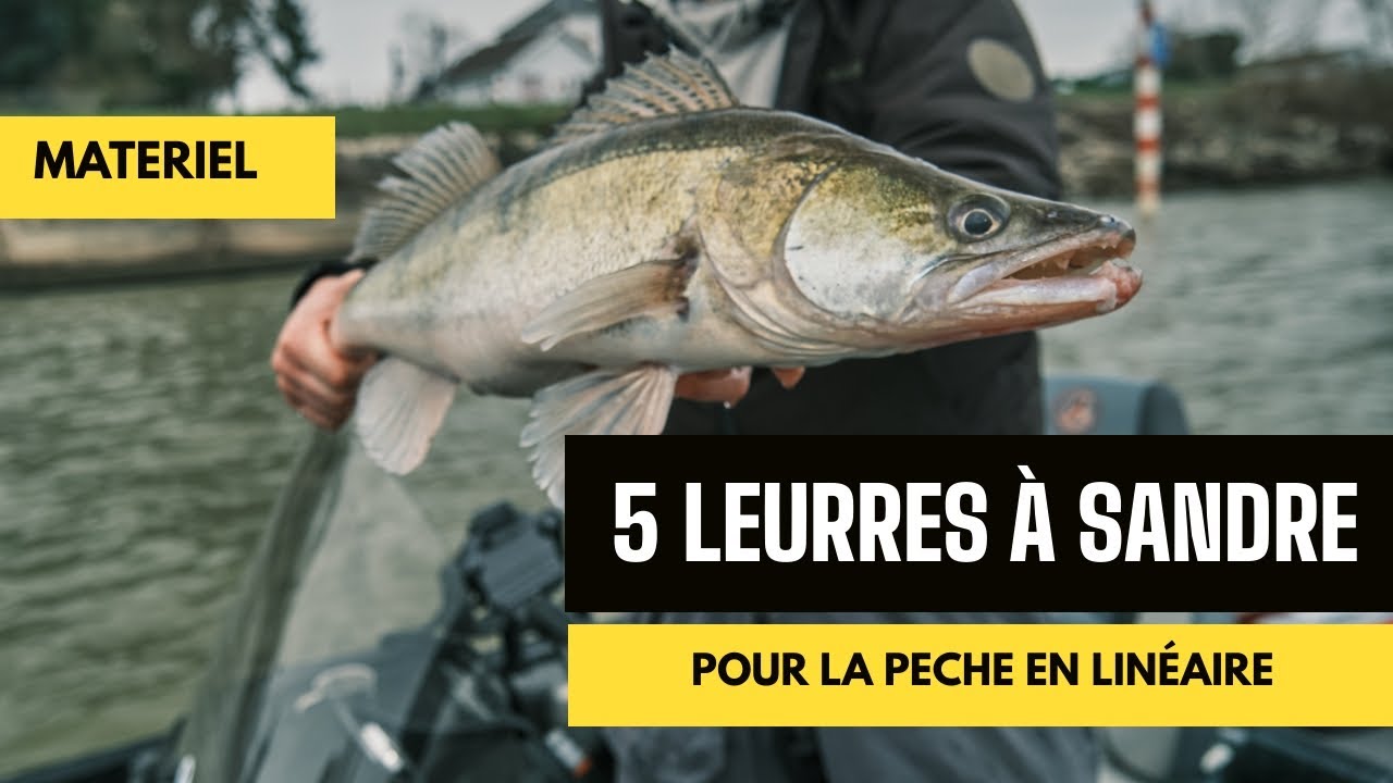 5 LEURRES POUR PECHER LE SANDRE en linéaire : le choix de Kevin.