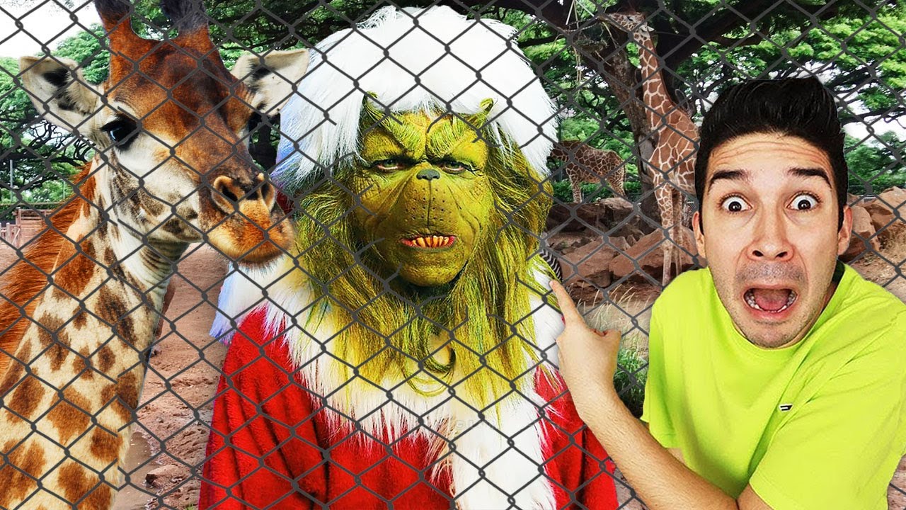 ANDIAMO ALLO ZOO CON IL GRINCH IN AMERICA! *animali allo Zoo di Miami*
