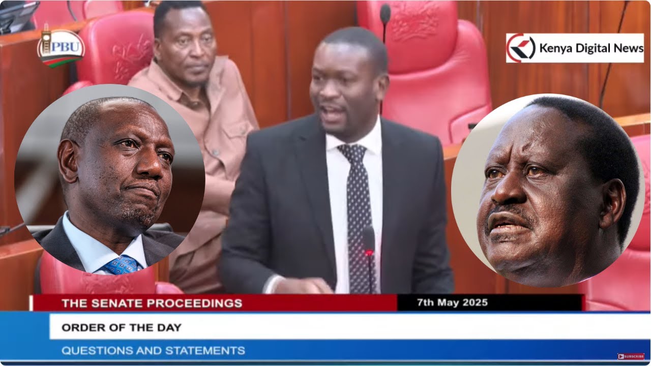 'I don't recognize any entity called BROAD-BASED!' Senator Sifuna Roars in Senate!!
