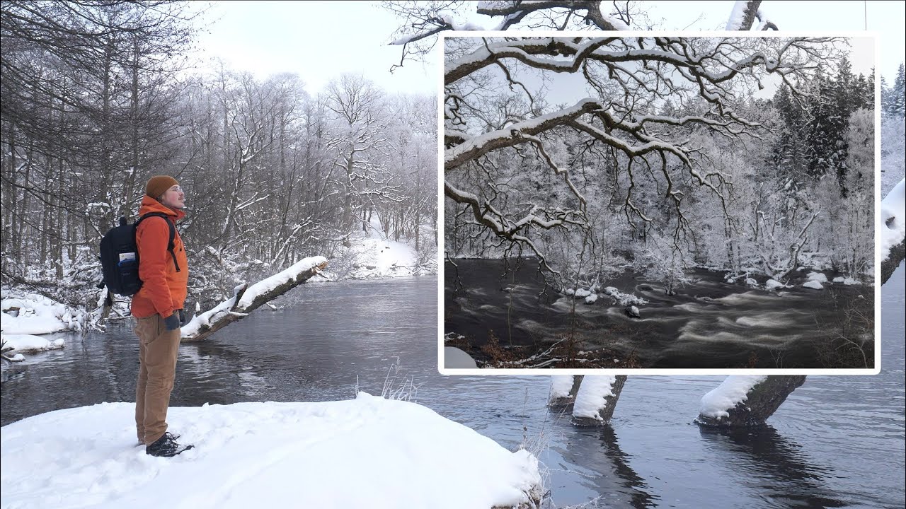 Photographing nature after a snowstorm. Nature photography