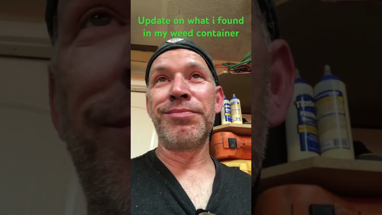 You asked, so&hellip;&hellip;.. #found #weed #garage