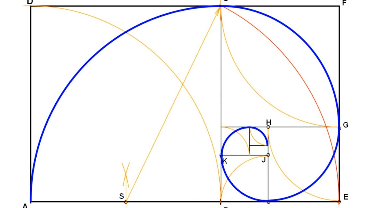 ESPIRAL ÁUREA - Dibujar una espiral áurea conociendo el lado menor del rectángulo áureo.