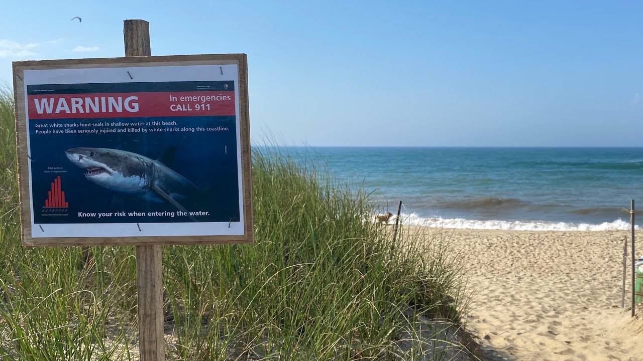 Jaws Filming Locations 45th Anniversary- D Tour 185 7/28-29/2020