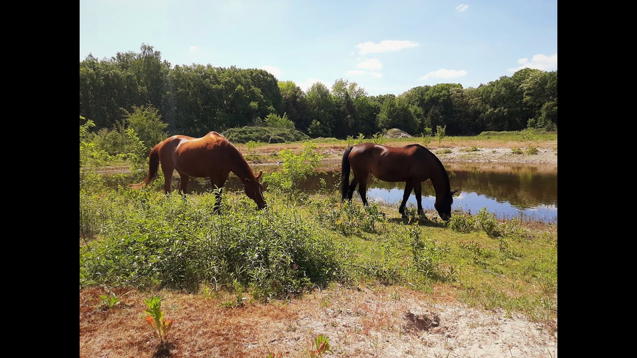 relaxwandeling Tilburg