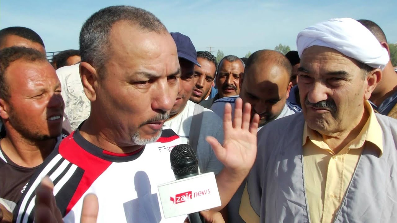 دزاير نيوزغليزان   سوق المواشي dzair news
