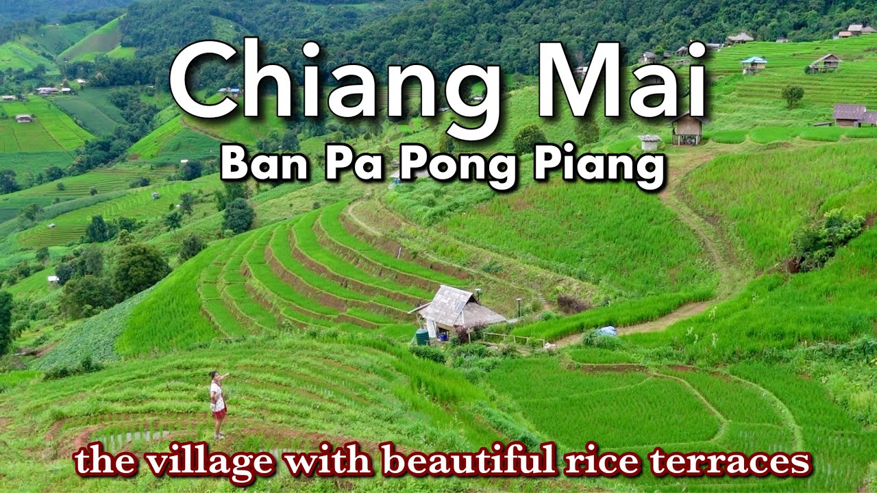 Ban Pa Pong Piang｜Tiny village with beautiful rice terraces in Chiang Mai, Thailand