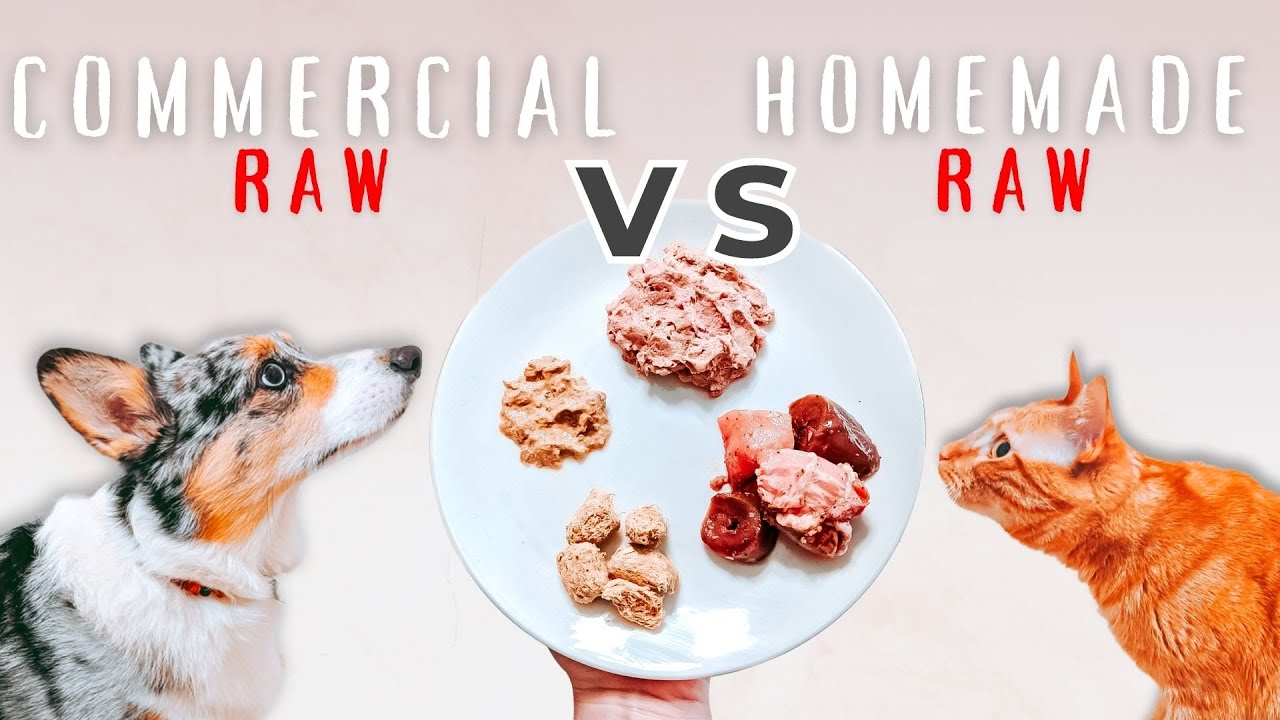 Commercial Vs. Homemade Raw Food - Cat And Dog Choose