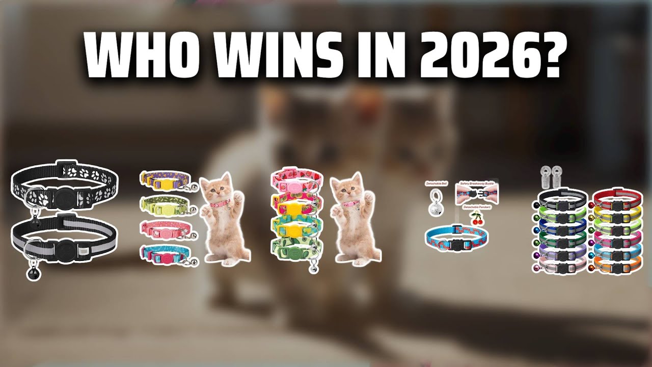 The Top 5 Best Kitten Collars in 2026 - Must Watch Before Buying!