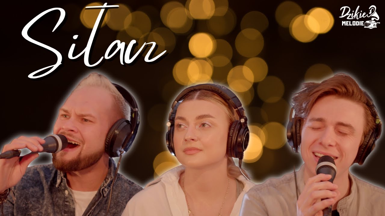 Siłacz (Cover) - Wokaliści Dzikiego Ucha | Dzikie Melodie