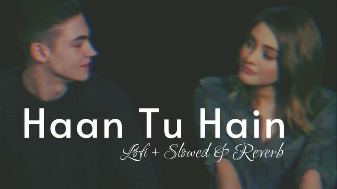 Haan Tu Hain l Perfect Emotional songs l Slowed x Reverb playlist 