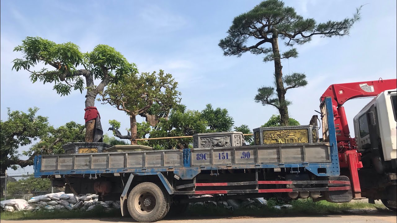 Lâu ngày em mới được một miếng , chống móm các bác ạ😂#xuhướng #xecẩu☘️
