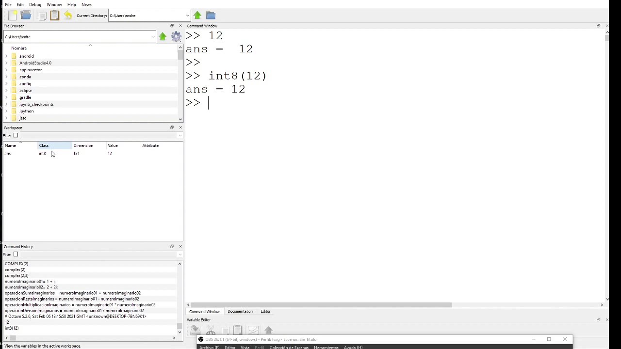 12 Tipo de Dato Entero (con signo y sin signo)  | GNU Octave /  MATLAB