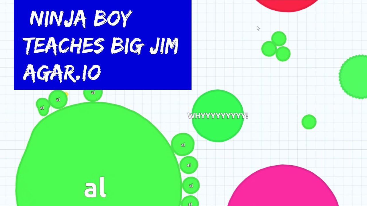 BLD Blob Wars #1 - Ninja Boy schools Big Jim in Agario (agar.io)