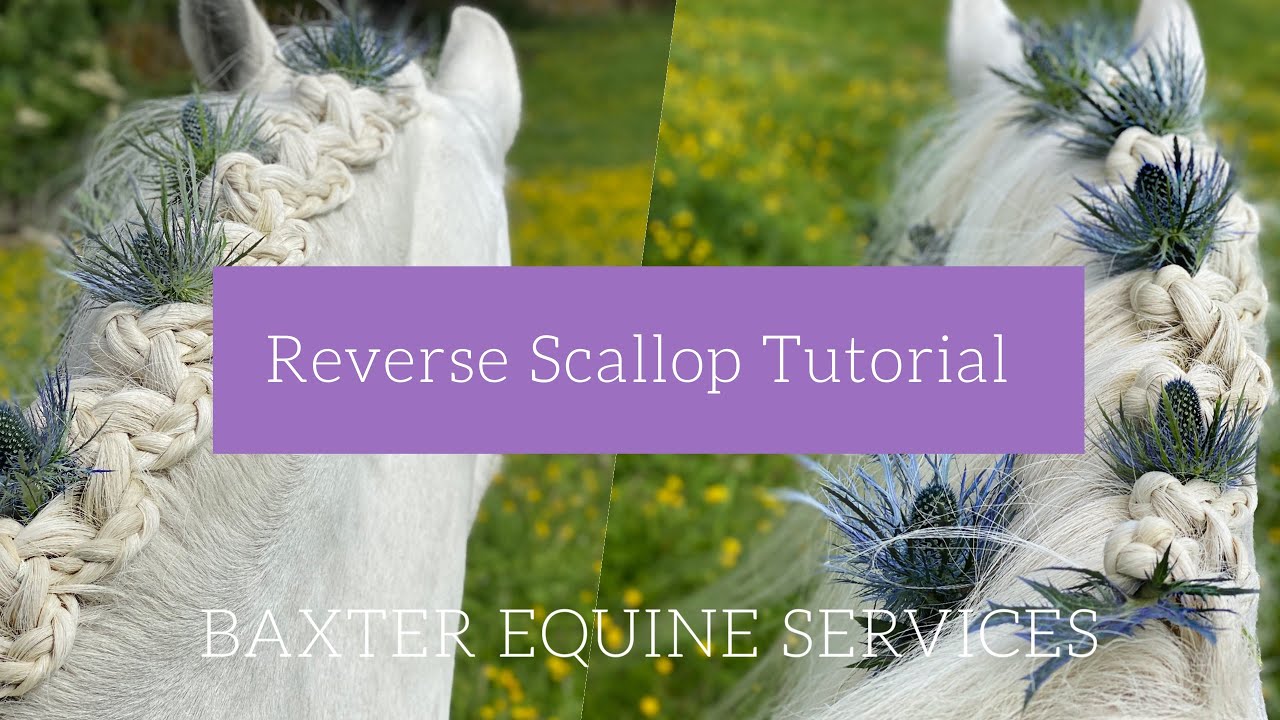 REVERSE SCALLOP TUTORIAL | Scottish Theme