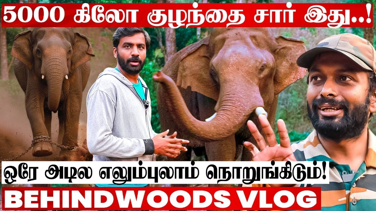 காட்டு யானையை கட்டுப்படுத்தும் Trick😯 தும்பிக்கையில் இருக்கும் அசுர பலம்😯 யானை Doctor பேட்டி