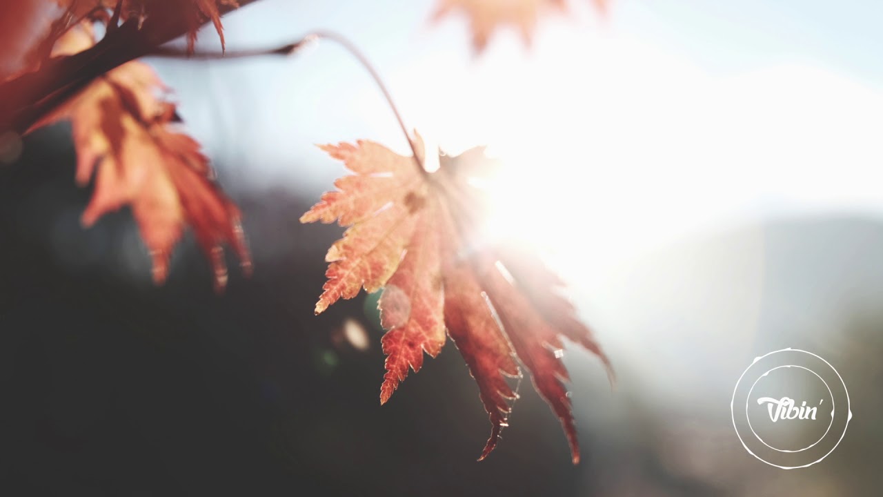 Jinsang - Flow On